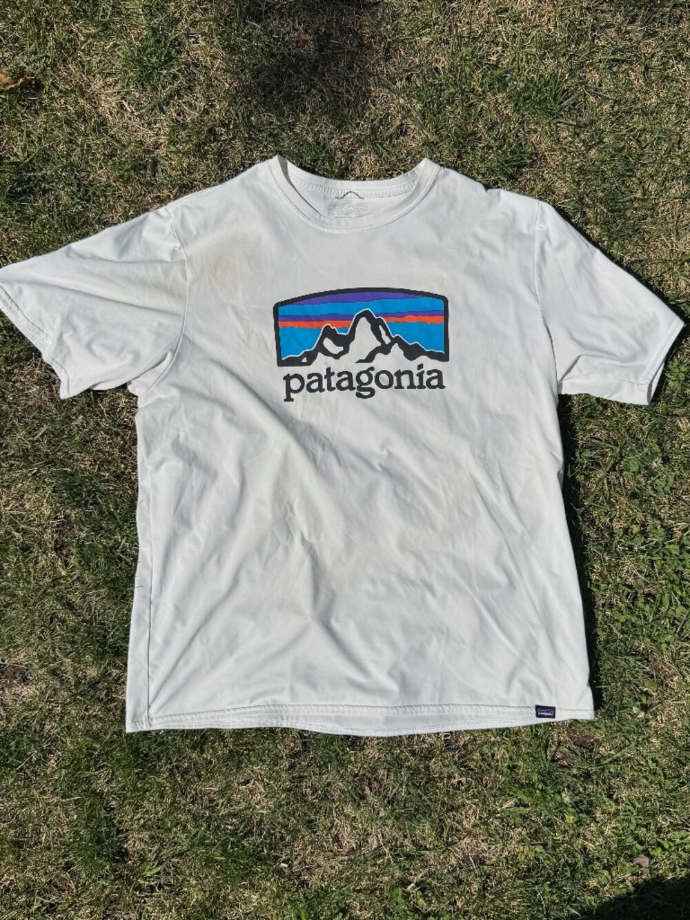 Patagonia - Capilene Graphic Shirt (Men's) - White